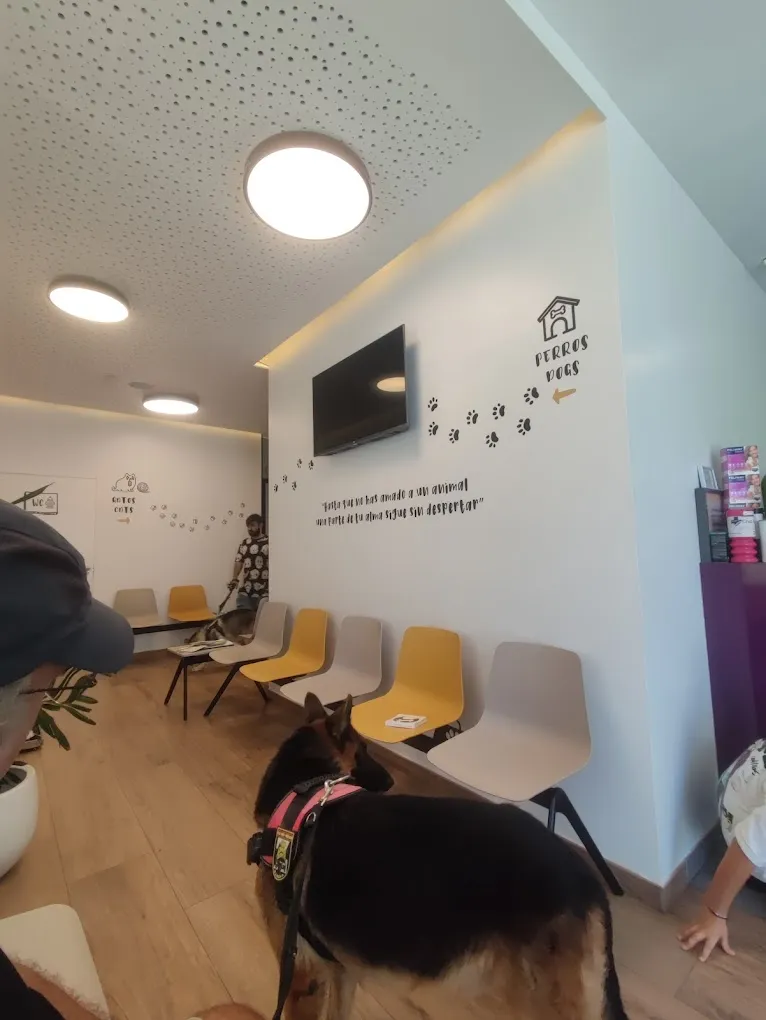 Sala de espera de ProVet